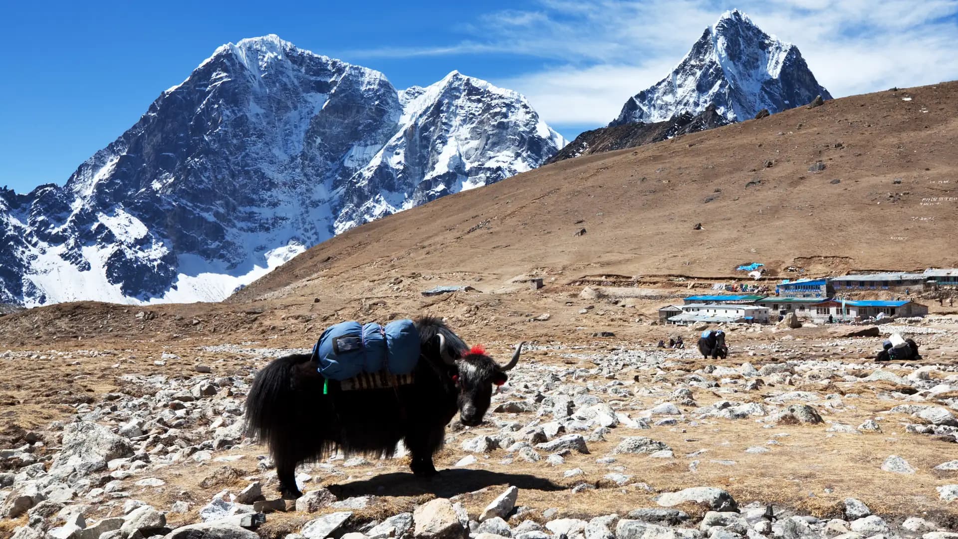 Annapurna Circuit Trek Ultimate Guide 2026