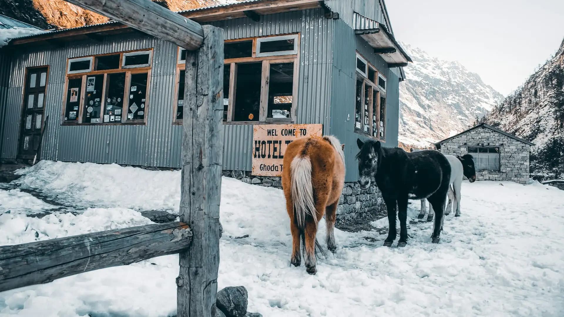 Langtang Valley Trek Cost | Full Budget & Price Breakdown