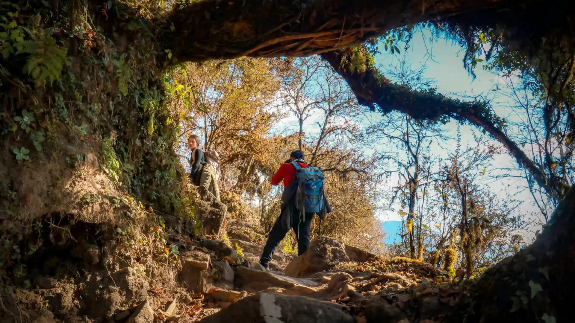 Mardi Himal Trek Cost: Complete Budget Guide 2026
