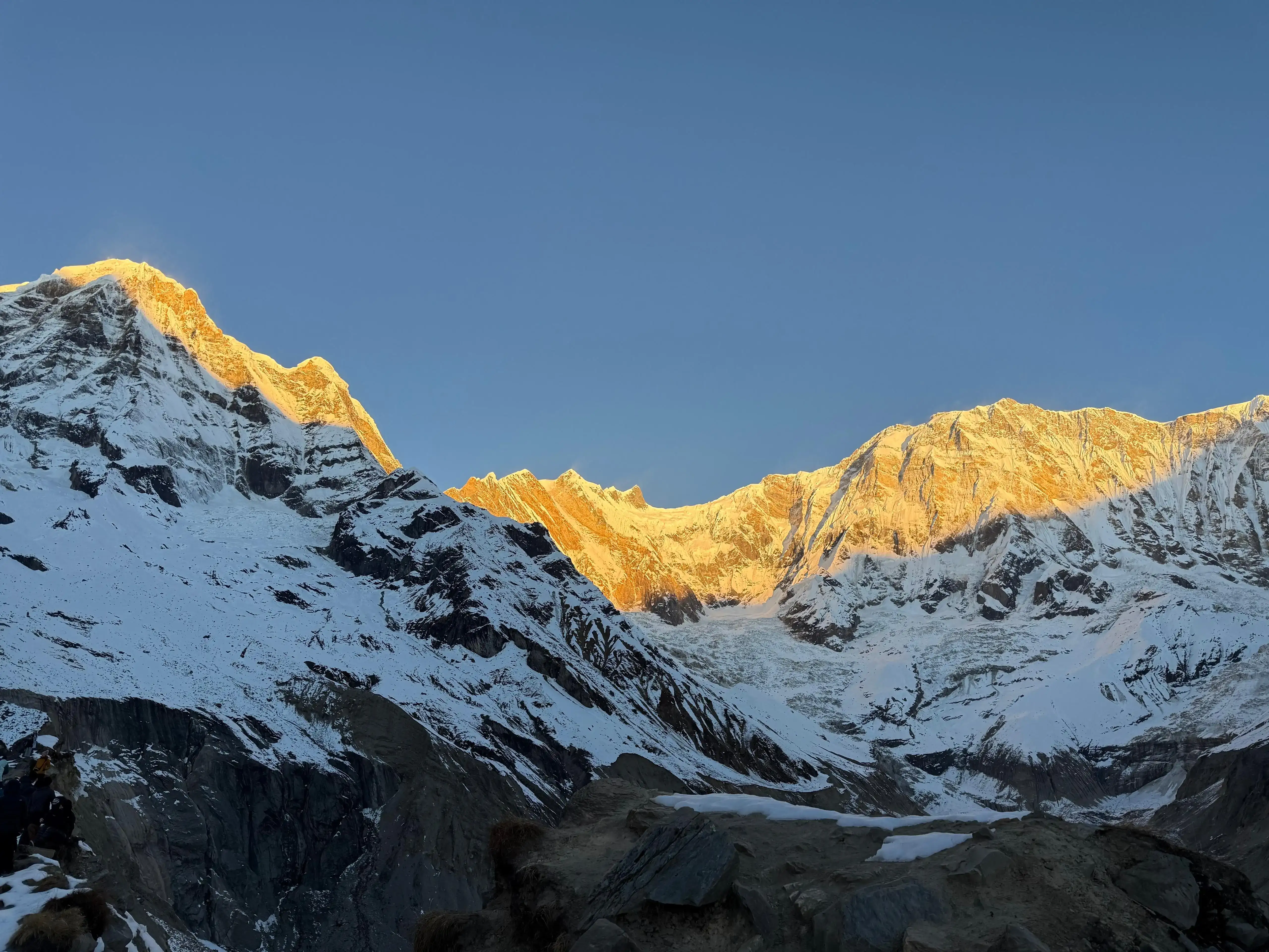 Terms and Conditions